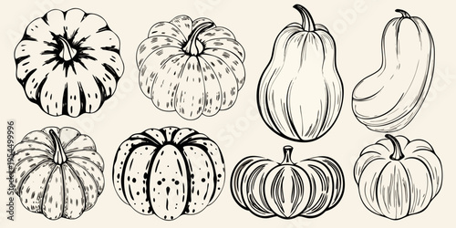 A collection of hand drawn pumpkins and gourds in black and white