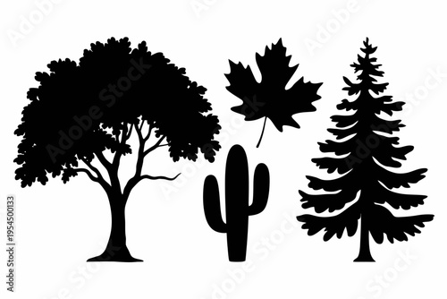 Black silhouette collection featuring a deciduous tree, a maple leaf, a cactus and a pine tree isolated on white background, Vector, illustration