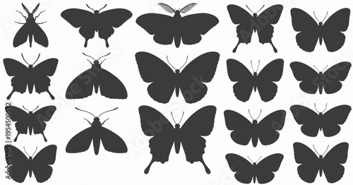 A collection of various butterfly and moth silhouettes displayed in an organized grid arrangement isolated on white background, Vector, illustration