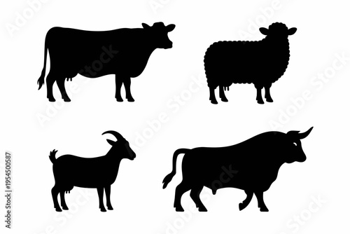 Black silhouettes of a cow, a fluffy sheep, a small goat and a muscular bull standing in profile isolated on white background, Vector, illustration