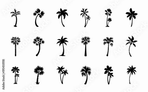A comprehensive collection of diverse palm tree silhouettes showcasing various tropical species isolated on white background, Vector, illustration