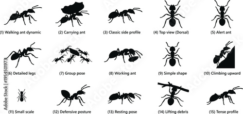 Collection of Ant Silhouettes Illustrating Various Actions and Poses