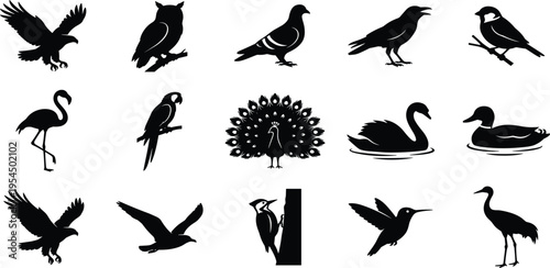Discover a diverse collection of elegant bird silhouettes, showcasing a wide array of avian species from majestic eagles to graceful peacocks, perfect for educational and graphic design projects