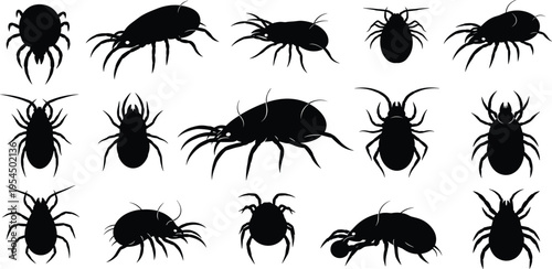 Detailed Vector Silhouettes of Mites from Multiple Perspectives, Showcasing Tiny Arthropods for Biology, Pest Control, or Scientific Illustrations