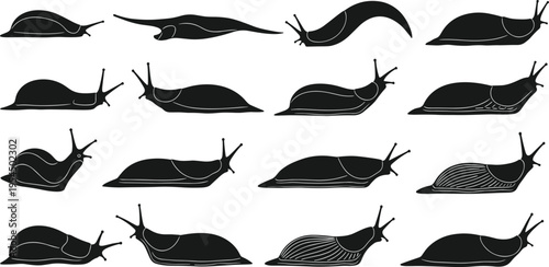 Collection of Silhouettes of Various Slug Species in Different Poses