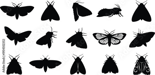 An intricate array of nocturnal insect silhouettes, featuring multiple moth species captured in various dynamic positions, ideal for wildlife and entomology projects