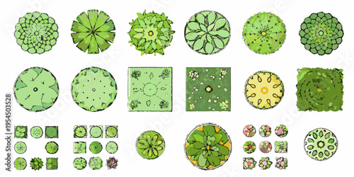 A collection of top down views of various trees and shrubs