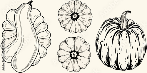 Vintage style sketch of three pumpkins and two gourd blossoms
