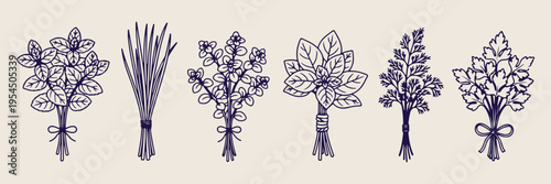 Lavender and garden plants set, hand drawn botanical floral sketches, spring greenery icon for design, minimalist nature plant vector graphics, organic floral elements for branding, lavender field lin