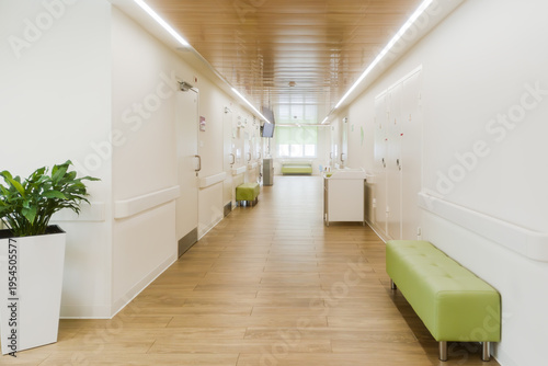 Photos Modern medical corridor with benches, plant and wood ceiling presents clean clinic interior with calm atmosphere for patients