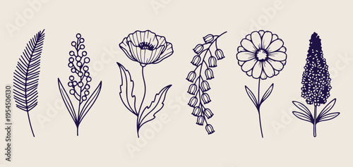Poppy and bell flowers doodle set, hand drawn botanical floral sketches, spring garden flower icon collection, minimalist nature plant vector graphics, organic floral elements for design, poppy flower