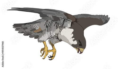 Minimalist golden folding fan vector with lucky charm concept for design