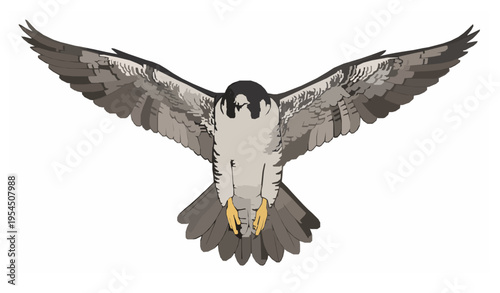 Elegant golden folding fan vector illustration as lucky charm on white background