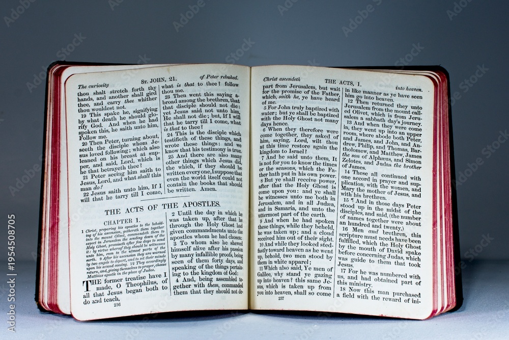 Fototapeta premium The holy Christian bible showing open pages of chapters and verses from the Acts of the Apostles. The bible is in a grey blue background and is the King James Version.