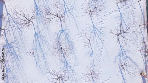 Aerial drone footage of snow covered garden with bare trees