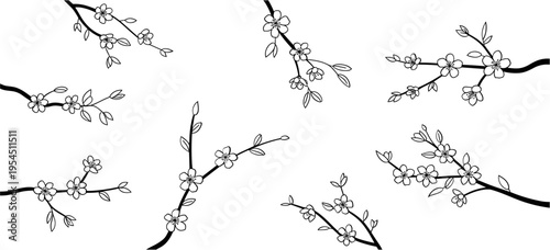 Set of cherry blossoms flowers and brunch. Spring Detailed background with botanic floral elements for invitation, wallpaper art or save the date card