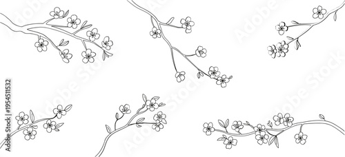 Set of cherry blossoms flowers and brunch. Spring Detailed background with botanic floral elements for invitation, wallpaper art or save the date card