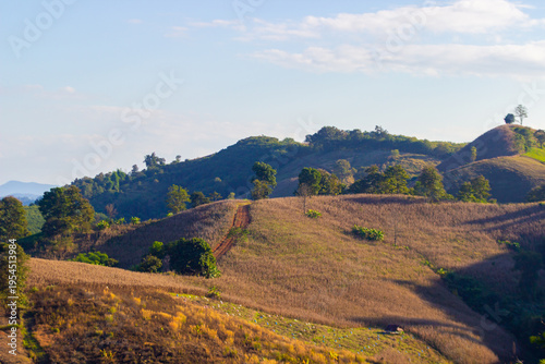 Summer mountain scenery. A treeless mountain view at sunset.
