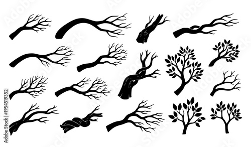 Tree Bough and Knotted Branch Silhouette Vector Set Natural Design