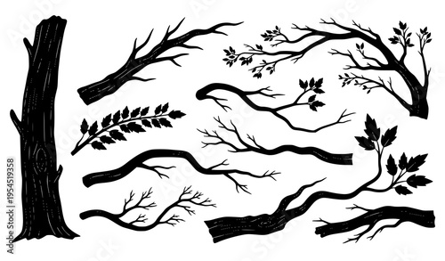 Tree Bough and Twisted Branch Collection Rustic Nature Vector Elements