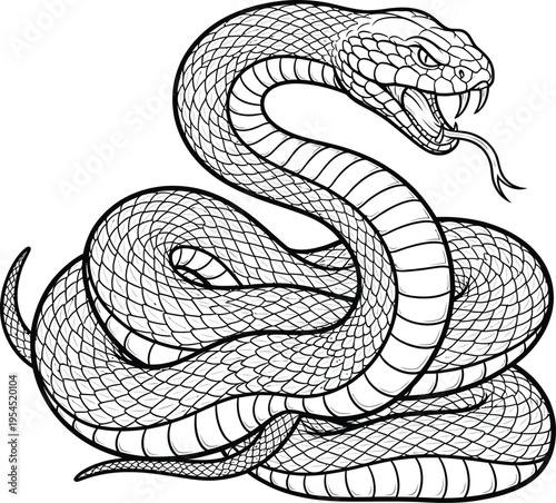 Detailed Illustration of a Coiled Viper Snake Ready to Strike.
