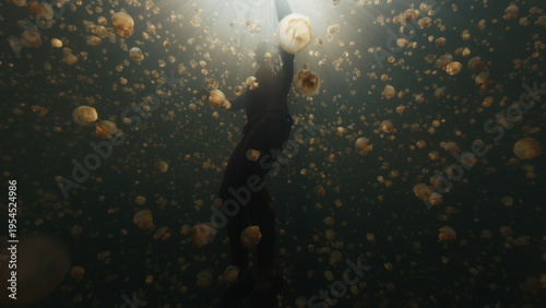 Jellyfish freediving. Freediver swims underwater with jellyfish in the lake in Papua, Indonesia