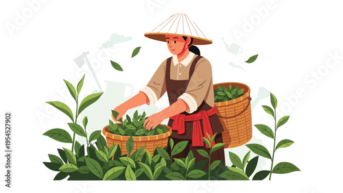Tea Picker Amidst Lush Greenery: A tea picker in a traditional hat meticulously harvests tea leaves from vibrant green tea plants, nestled amidst lush foliage.