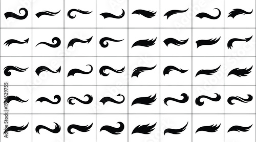 Collection of Black Swirls and Flourishes on White Background Keywords: swirl, flourish, curve, swoosh, tail, accent, design element, decorative, elegant, calligraphy, ink, brush stroke, graphic