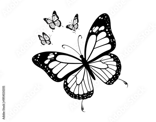 Black and white illustration of a large butterfly with detailed wing patterns, accompanied by three smaller butterflies in flight