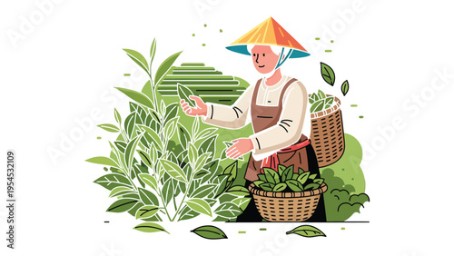 Tea Harvester at Work: An individual meticulously harvests tea leaves, embodying the essence of labor and tradition, as they fill baskets with freshly picked leaves amidst lush tea plants.