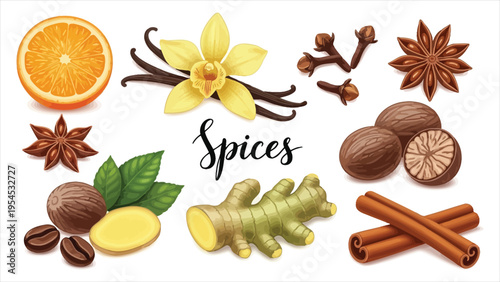 Stylized Spices Set – Vector Illustrations of Anise, Cloves, Vanilla, Ginger, and Cinnamon