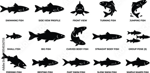 Collection of Silhouettes of Various Fish Species and Their Movements