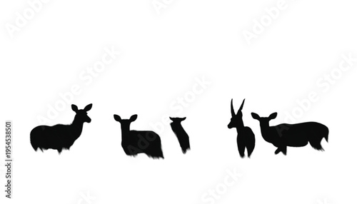 Several silhouettes of grazing animals like deer and gazelles are scattered across a clean white background.