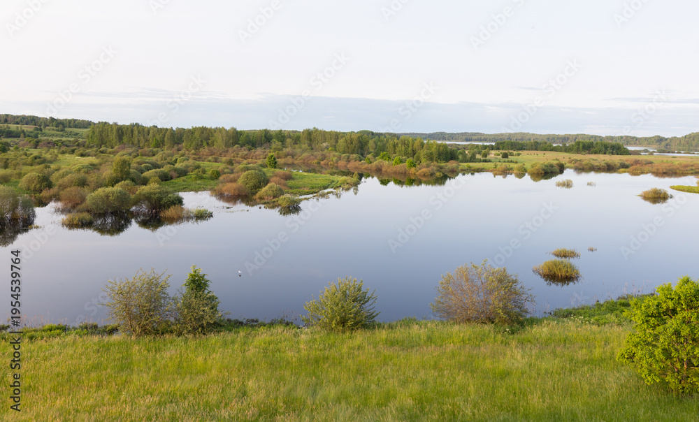 Obraz premium A tranquil summer wetland and lake bordered by green meadow, shrubs and distant trees with clear reflective water, evoking calm, nature, open space and rural landscape serenity. Sorot river landscape
