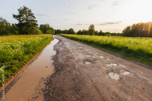 Принти на полотні A rural dirt road lined by wildflower meadows and trees, dotted with puddles and