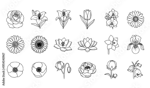 Grid-based line-art flower structure icon pack vector set for education and science