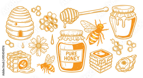 Honey and Bee Hand Drawn Sketch Collection