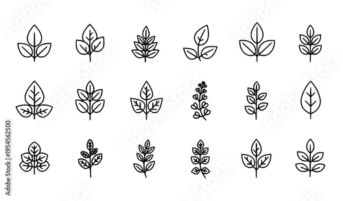 Medicinal Herbs Line Icons Set with Clean Botanical Outline Symbols for Natural Health Vector Design
