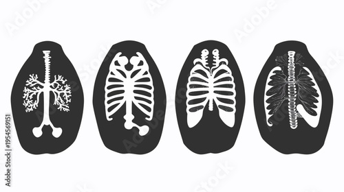 Four stylized illustrations depicting internal human body structures lungs, rib cage, and spine