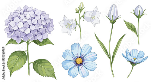 Beautiful botanical set featuring various purple hydrangea blossoms, white bellflowers, and blue cosmos flowers with delicate green stems and leaves.