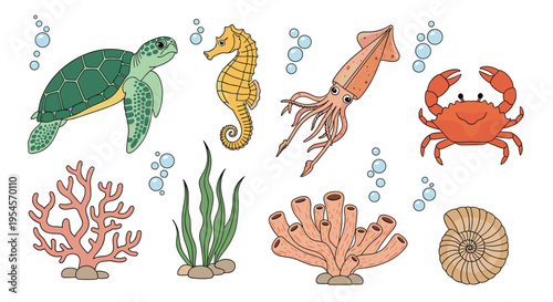 Diverse underwater sea life collection featuring a sea turtle, seahorse, squid, crab, colorful coral, seaweed, and a spiral nautilus shell.