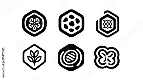 Six geometric icons with internal organic and floral shapes, all within hexagonal borders