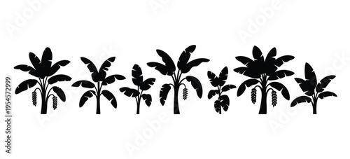 A row of tropical banana plants depicted in black silhouette