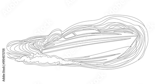 Line Art Chinese Cabbage Illustration, Minimalist Vegetable Outline