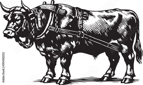 Oxen Pulling Plow Harness Vintage Woodcut Style Illustration