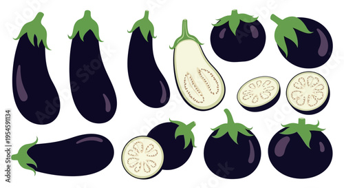 Eggplant Vegetable Vector Illustration Set - Fresh Purple Aubergine Collection with Whole, Half, and Sliced Pieces - Flat Organic Food Icons Isolated on White Background