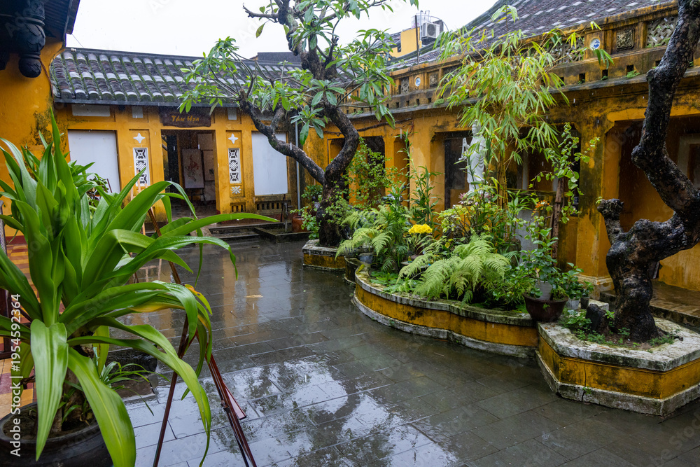 Fototapeta premium Rain falls on the courtyard of an Old House, a popular tourist attraction in the historic city of Hoi An, Vietnam. Lush plants thrive in the wet conditions.