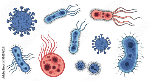 Collection of different colorful bacteria and viruses showcases diverse microscopic pathogens and microorganisms on white.