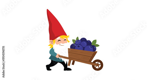 Cheerful garden gnome with a long white beard and red hat pushes a wooden wheelbarrow full of ripe blueberries.