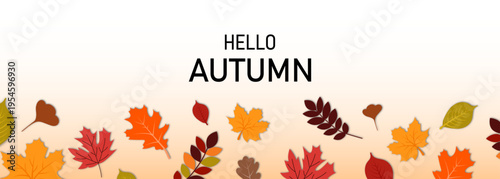 Autumn seasonal background